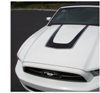 2010-14 Mustang U-Shaped Hood Decal Kit